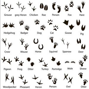 Meet your Posher, Marsha